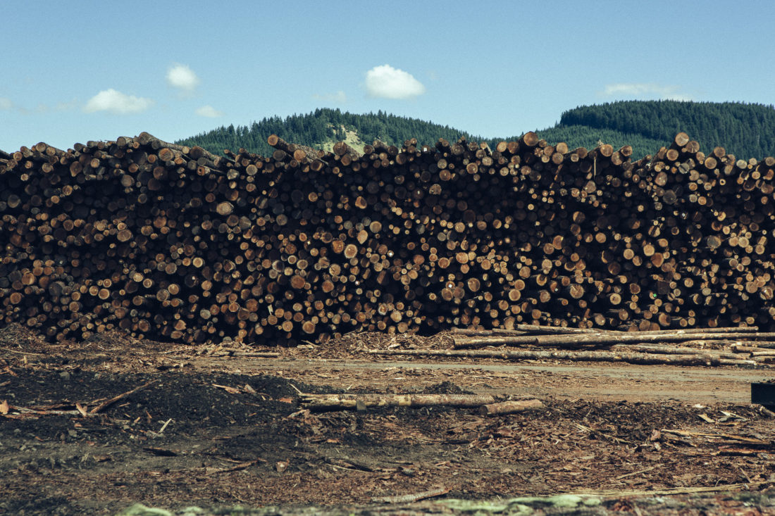 Logging within Oregon © Dan Brown / Kapitol Photography